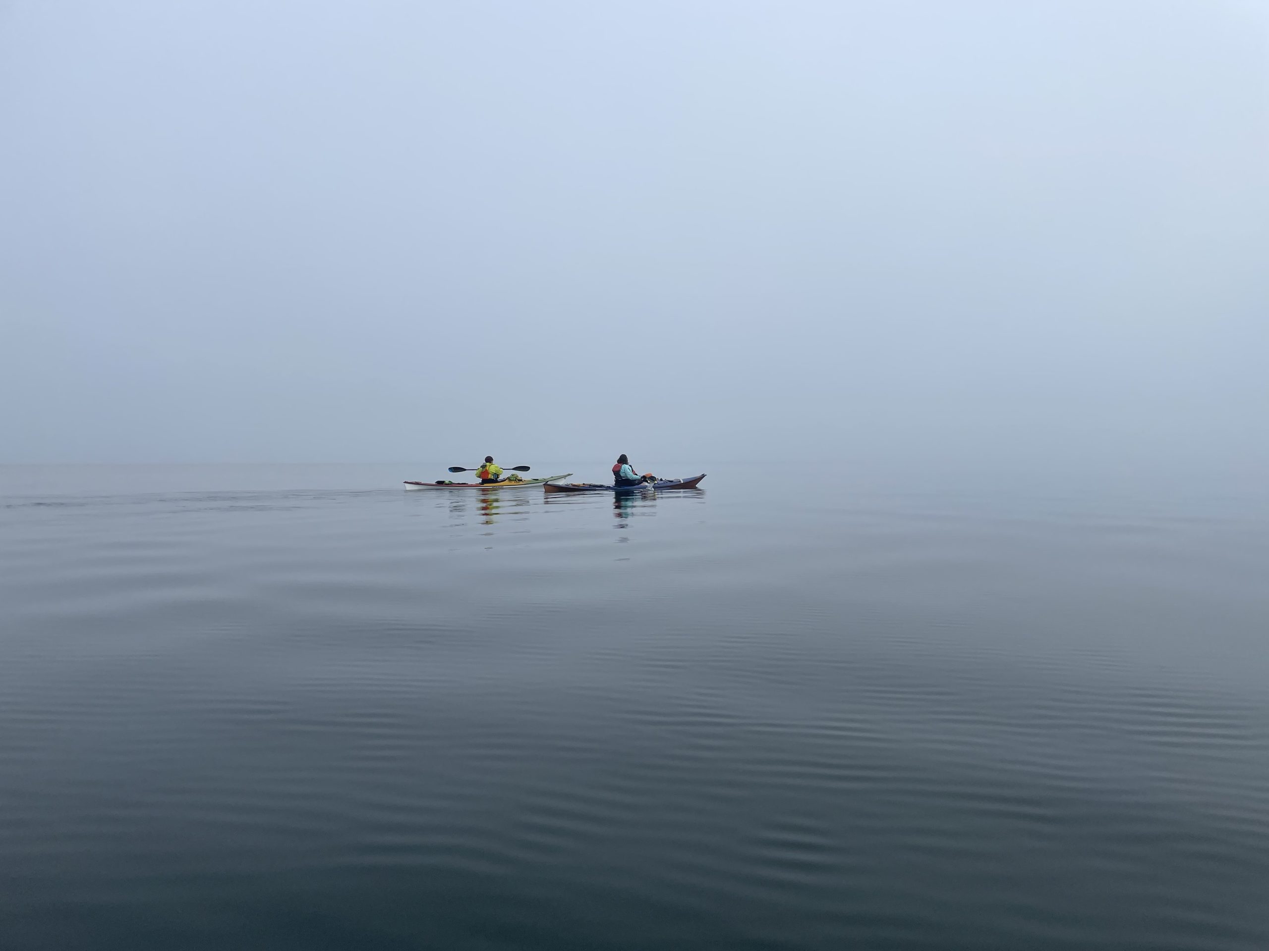 Exploring Quartermaster Harbor - NC Kayaks